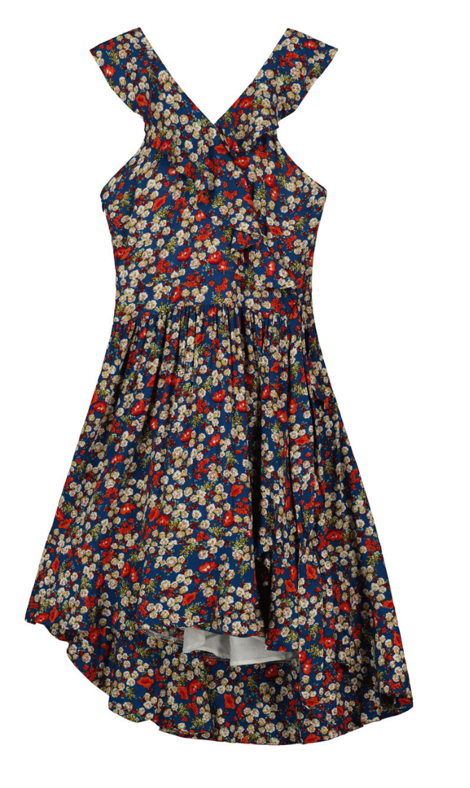 Blue Vintage Floral Dress