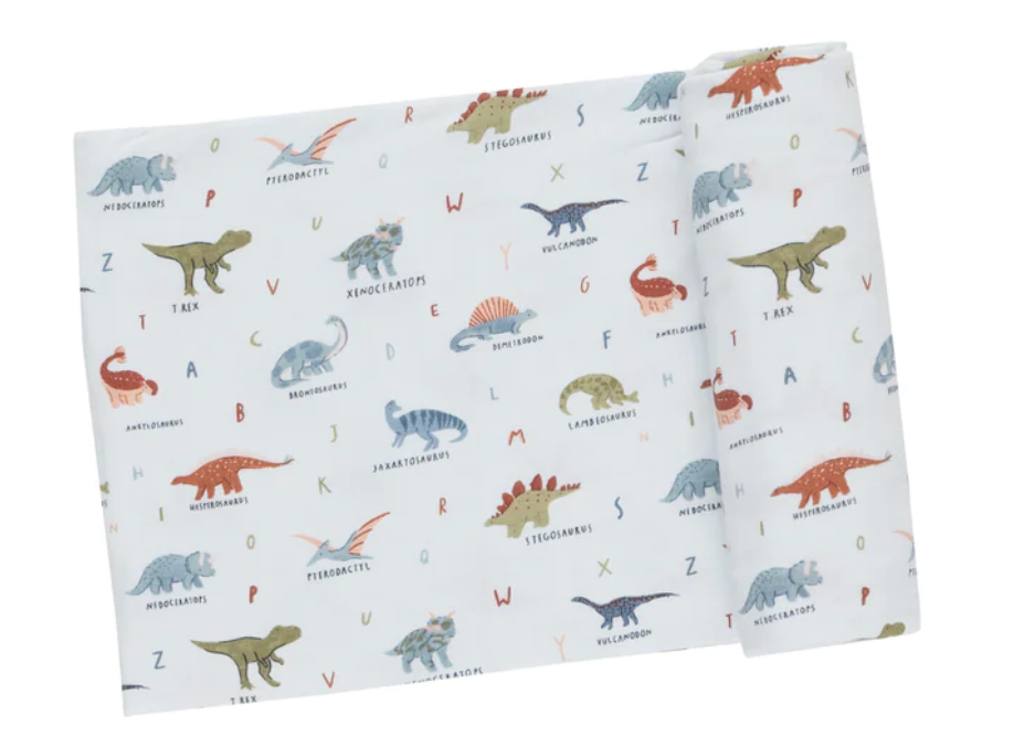Dinosaur ABC Swaddle Blanket