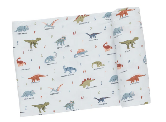 Dinosaur ABC Swaddle Blanket