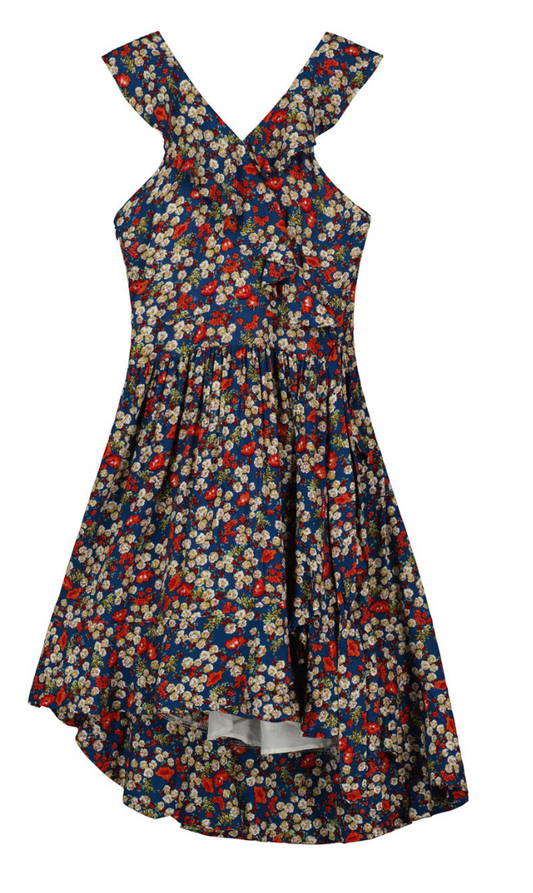 Blue Vintage Floral Dress