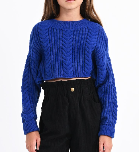 Cobalt Cropped Knit Sweater